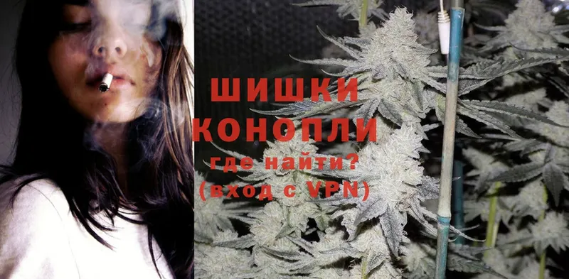 Бошки Шишки SATIVA & INDICA  где купить наркоту  Реутов 